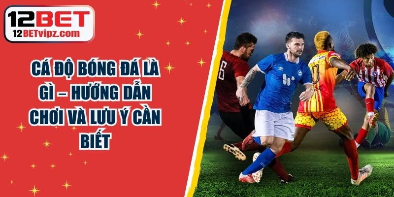 Cá Độ Bóng Đá